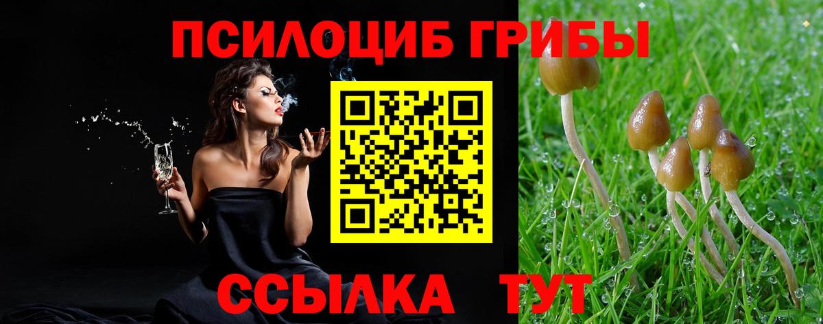 Псилоцибиновые грибы ЛСД  Вход с VPN  Углич  Галлюциногенные грибы прущие грибы 