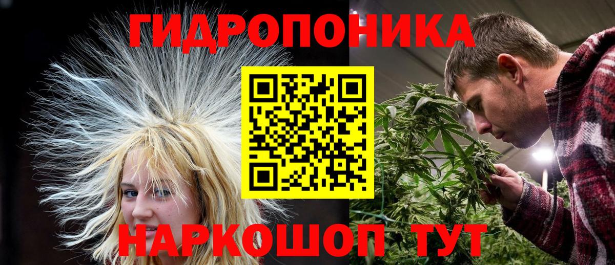 Бошки марихуана марихуана Углич